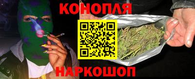 прущие грибы Волгодонск