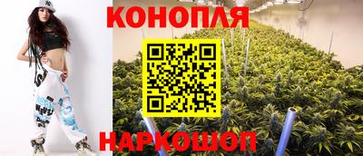 прущие грибы Волгодонск