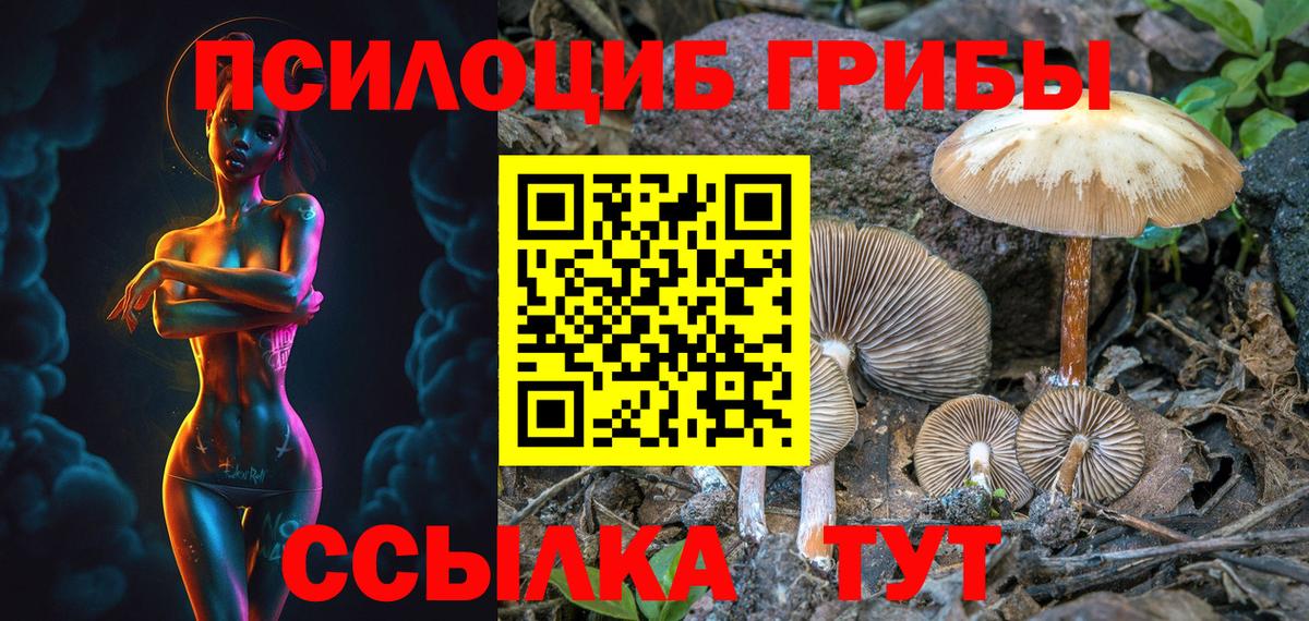 Новоалександровск  Галлюциногенные грибы мицелий  Вход с VPN 